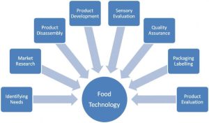 Read more about the article Unleashing Food Technology: From Culinary Evolution to Sustainable Innovation