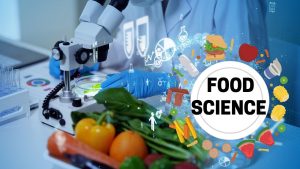 Read more about the article Decoding Food Science: Exploring flavorful alchemy and cutting-edge innovation