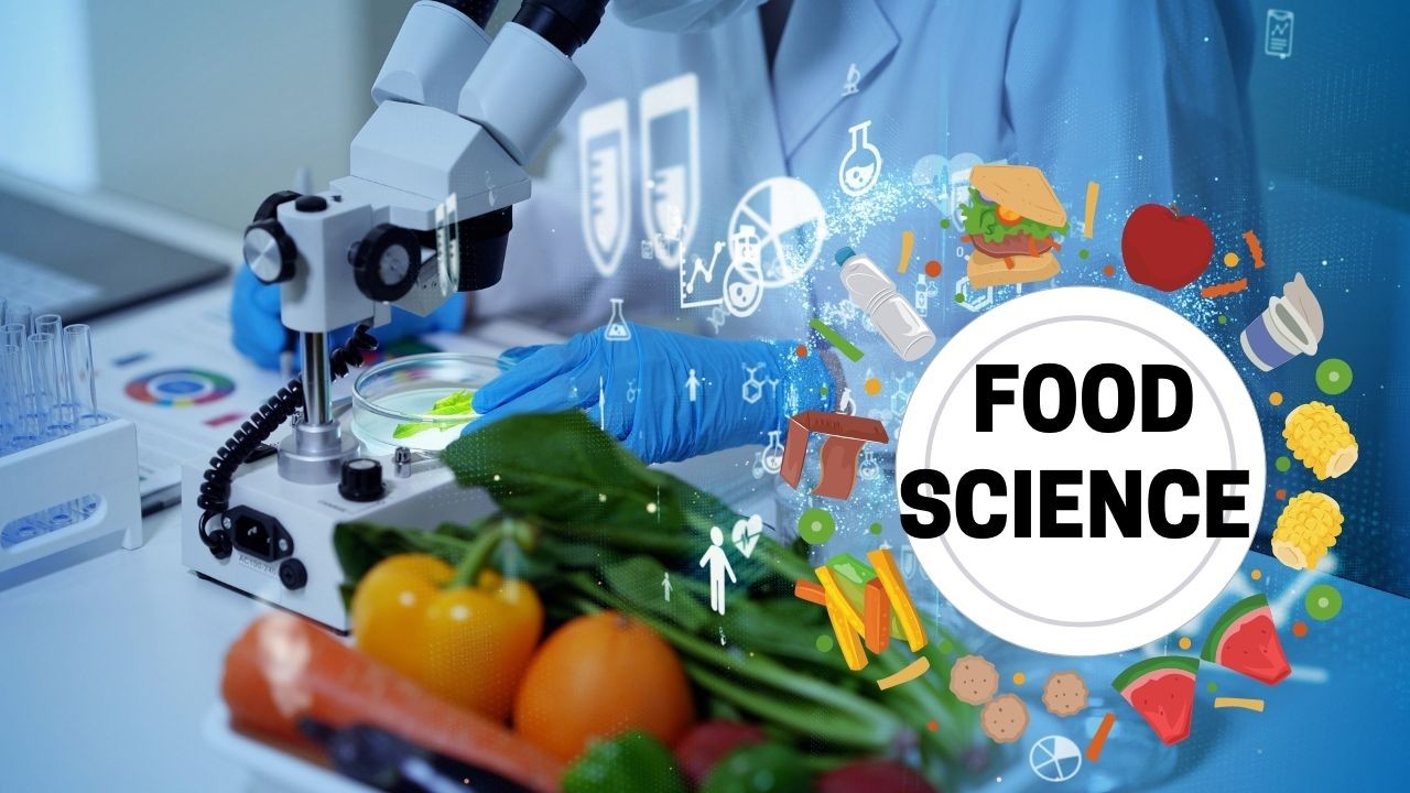 You are currently viewing Decoding Food Science: Exploring flavorful alchemy and cutting-edge innovation