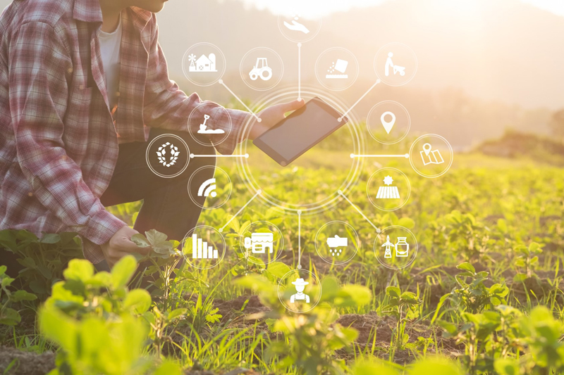 Read more about the article AgriTech Revolution: Transforming Agriculture into a Digital Oasis